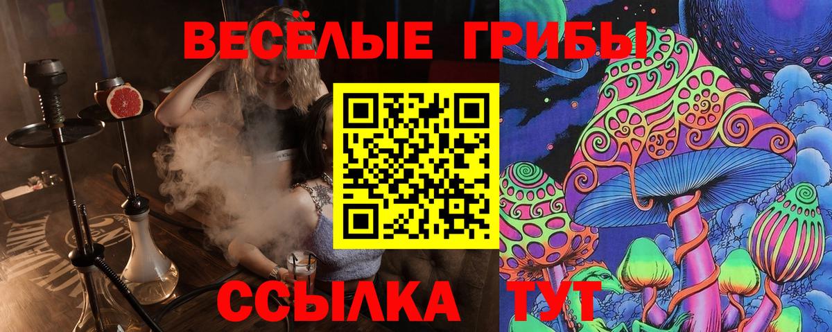 Псилоцибиновые грибы мухоморы  Вход с VPN  Елизово 